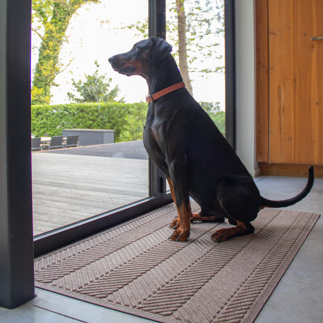 Your Door Mat Is Wrong: Hidden Signs It's Time for a New One