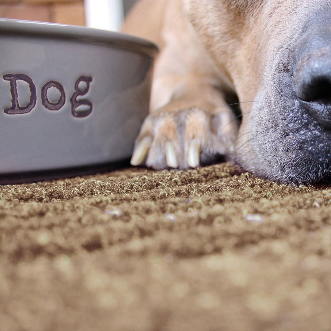 WaterHog® Waves Bowl Mat