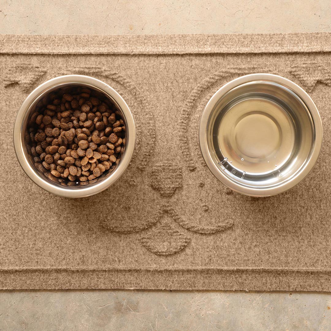 Two metal bowls on a textured surface, one with kibble and the other empty.